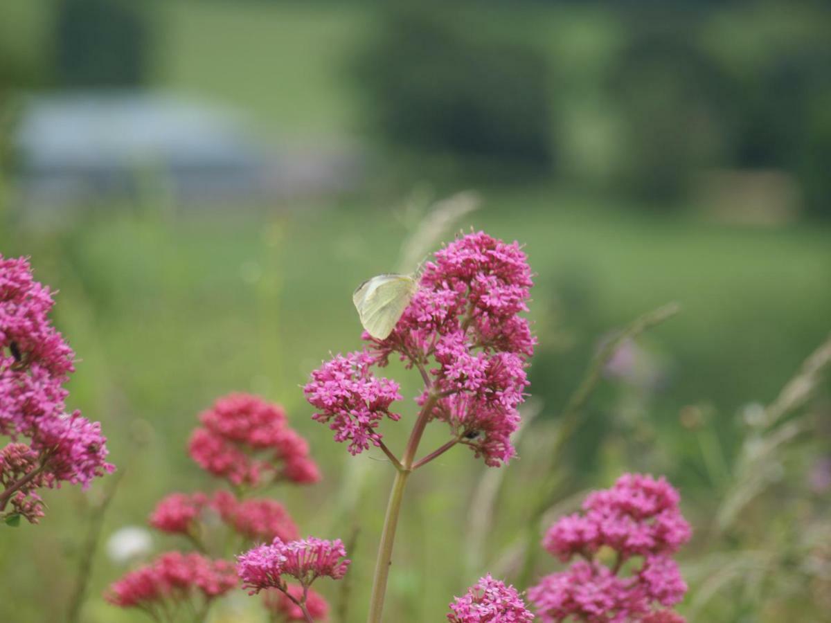 Incheoch Farm Cottage Kilry Екстериор снимка
