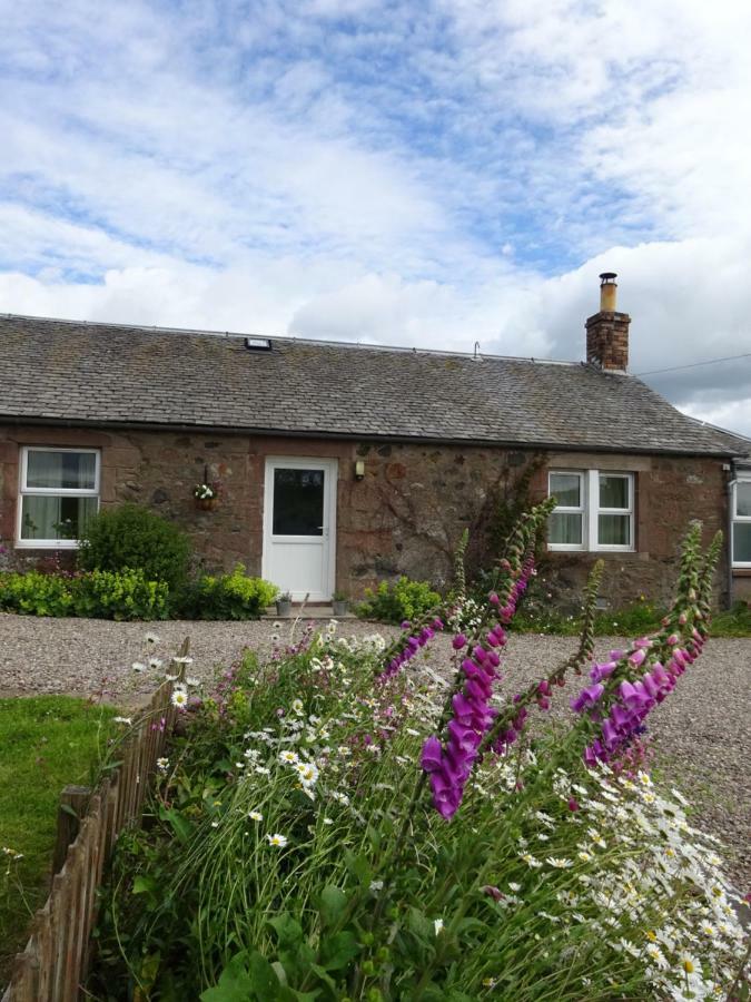 Incheoch Farm Cottage Kilry Екстериор снимка